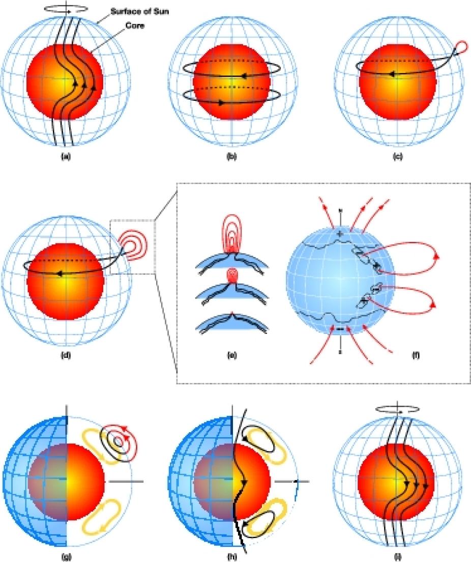 Schematic of solar flux-transport dynamo processes