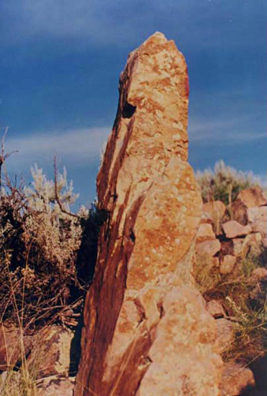 Monolith at Yellow Jacket possibly used for a solar calendar