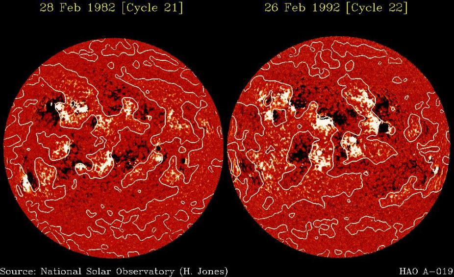 Two solar magnetograms taken in the descending phases of cycles 21 and 22