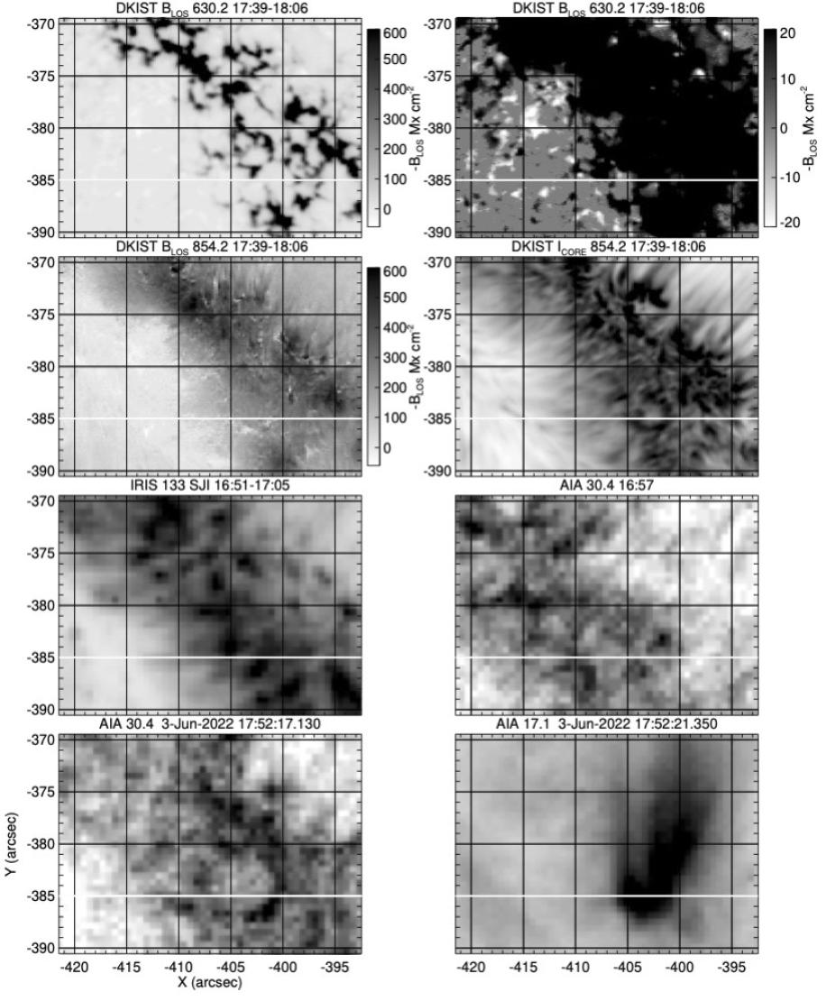 Comparison between DKIST and IRIS/SDO measurements