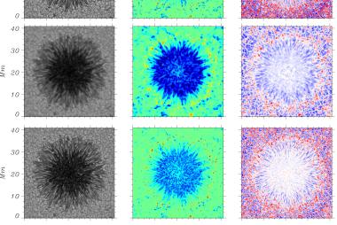 Sunspot simulations