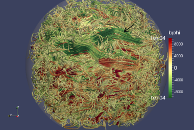 3D view of the magnetic field lines in a simulation of the solar convective dynamo